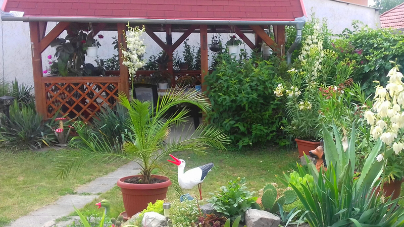 Karácson Mária kertje 05